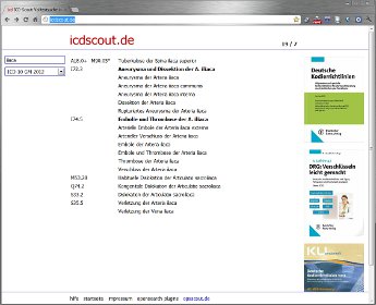 Website-Screenshot für icdscout.de